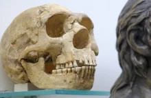 Udało się zidentyfikować członków rodziny neandertalczyków. To pierwszy taki ...