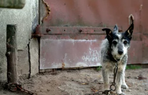 To powód do wstydu. Nadszedł czas, aby zerwać łańcuchy raz na zawsze