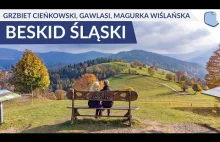 Grzbiet Cieńkowski z widokową ławeczką, skała na Gawlasi i Magurka Wiślańska