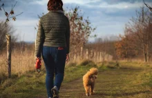 Ile razy wychodzić z psem na spacer? Nie popełniaj tego błędu