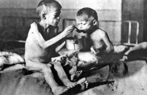 25 tys. ofiar dziennie. Ukraina chce, by świat uznał Wielki Głód za ludobójstwo