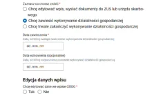 Zawieszenie działalności online- co wpisać w formularzu?