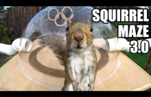 Wiewiórkowa Letnia Olimpiada