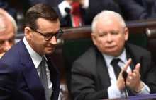 Nowy pomysł PiS. W sieci wrze