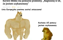 Korwin-Mikke ma poważne problemy. „Nagłośnię w UE, że jestem szykanowany”