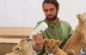 Poznańskie zoo uratowało 200 zwierząt z Ukrainy