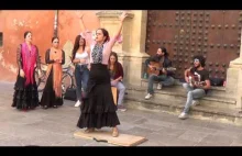Flamenco dance (1) in Granada 2015