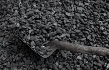 PGE obniży ceny węgla kamiennego dla klientów
