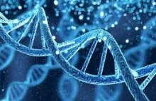 Kod genetyczny - DNA a Bóg cudowny wniosek