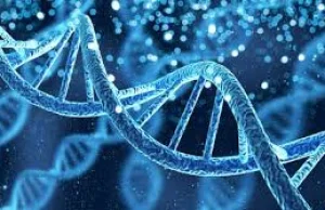 Kod genetyczny - DNA a Bóg cudowny wniosek