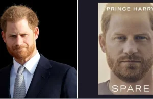 The main theme of Prince Harry's memoirs has become known — envy and...