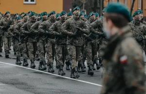 W Polsce wróci pobór? "Czas masowych armii minął"