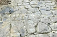 W Wielkiej Brytanii odkryto 2000-letnią rzymkską drogę