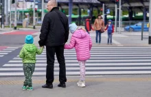 Sąd: w Polsce ma pierwszeństwo pieszy, który ma zamiar wejść na pasy