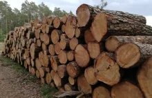 Lasy Państwowe nie rezygnują z produkcji pelletu drzewnego