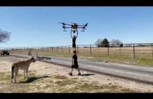Co może pójść nie tak? Ojciec używa agrarnego drona aby podnieść dziecko
