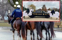 Policjanci przebrali policyjne konie za duchy. Wytknięto podobieństwo do KKK