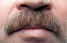 Weź udział w akcji "Movember" i zapuść januszowego wąsa