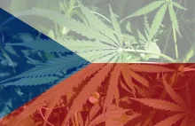 Czechy zalegalizują marihuanę już w przyszłym roku! | | Świat Zielonych...