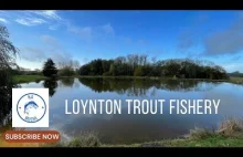 Wędkarstwo muchowe w UK. - Loynton - trout fishery