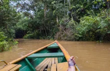 70 turystów zakładnikami w peruwiańskiej dżungli, powodem szkody środowiskowe