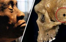 Odkryto prehistoryczne czaszki z ranami postrzałowymi zadanymi bronią palną