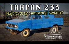 Młotkiem klepany - Tarpan 233.