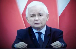 J. Kaczyński: polski internauta ogląda porno i pociąga z butli piwo