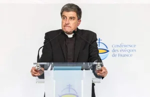 Afera we francuskim kościele. 11 biskupów "zamieszanych" w przemoc seksualną