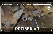 Odcinek #7 - Rudy ojciec, rudy dziadek