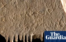 Odkryto najstarsze znane pisemne zdanie – na grzebieniu na wszy [ENG]
