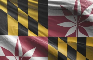 Wyborcy w stanie Maryland zagłosowali za legalizacją marihuany dla dorosłych