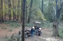 Wjechał do lasu ciągnikiem i kradł drewno! Wszystko zarejestrowała fotopułapka