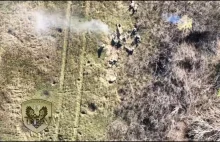 Kolejny łatwy cel. Ukraiński dron zrzuca granaty na rosyjskich żołnierzy.