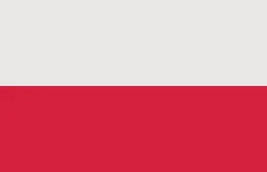 Polska flaga na Dzień Niepodległości