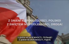 „Kochana Polsko...” Zełenski składa życzenia z okazji Święta Niepodległości