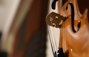Odnaleziono we Francji skrzypce Stradivariusa. Mogły zostać zrabowane z Polski