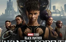 „Czarna Pantera: Wakanda...” [RECENZJA]