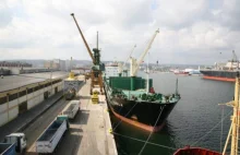 OT Port Gdynia: Duże zmiany struktury ładunków