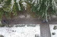 Szykujcie się na atak zimy! Pierwszy śnieg w Polsce już w ten czwartek