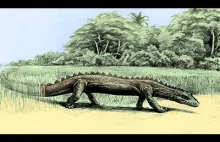 Na tropie kongijskich dinozaurów...