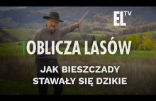 Jak Bieszczady stawały się dzikie