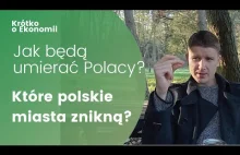 Depopulacja Polski, jak będziemy umierać i które miasta znikną w ciągu 15 lat?