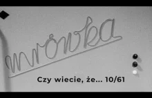 Polski komputer "Mrówka" z ELWRO (1961)