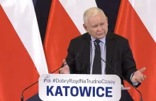 Kaczyński dziś w Katowicach: Precz z Kaczorem dyktatorem! Było też o dzikach...