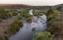 Izrael i Jordania łączą siły, aby ocalić rzekę Jordan