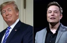 Elon Musk unblocked Donald Trump's Twitter account | Celebrity News