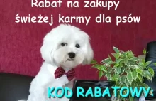 Nowy, większy rabat na karmę PsiBufet