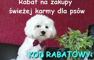 Nowy, większy rabat na karmę PsiBufet