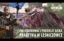 Jak oskórować i podzielić DZIKA. Praktyka w Leśniczówce